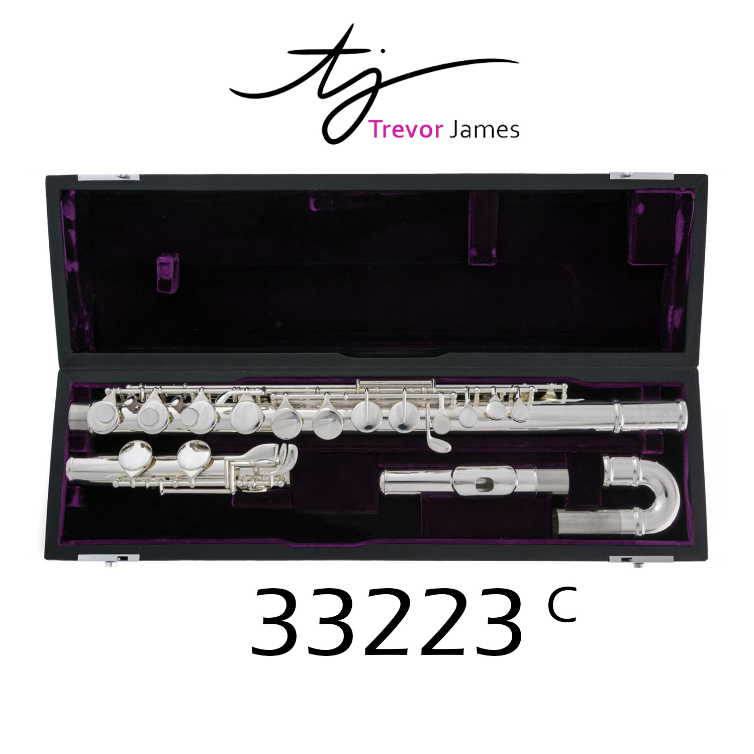 Trevor James Altfluit - Performer Series met Gebogen Kopstuk - 33223 C