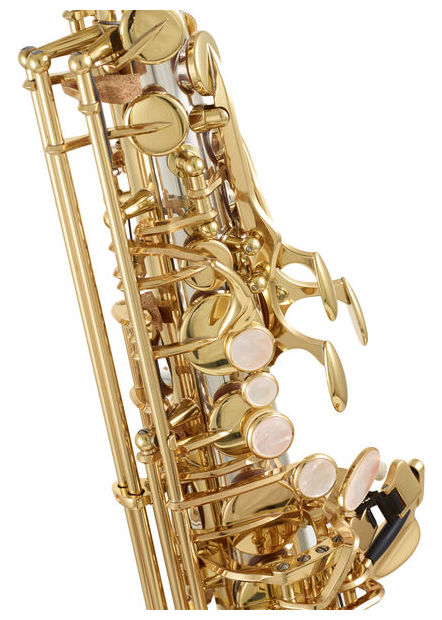 Yanagisawa Altsaxophon - A-WO30 Elite Model - Sterling Silber S-Bogen und Korpusröhre